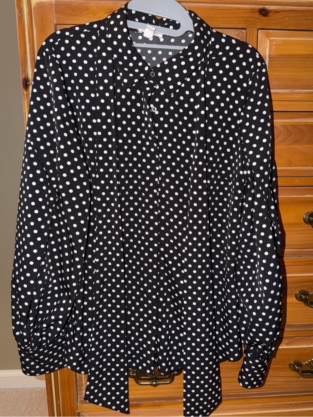 Polka Dot Tie-Neck Blouse Dress - Black & White